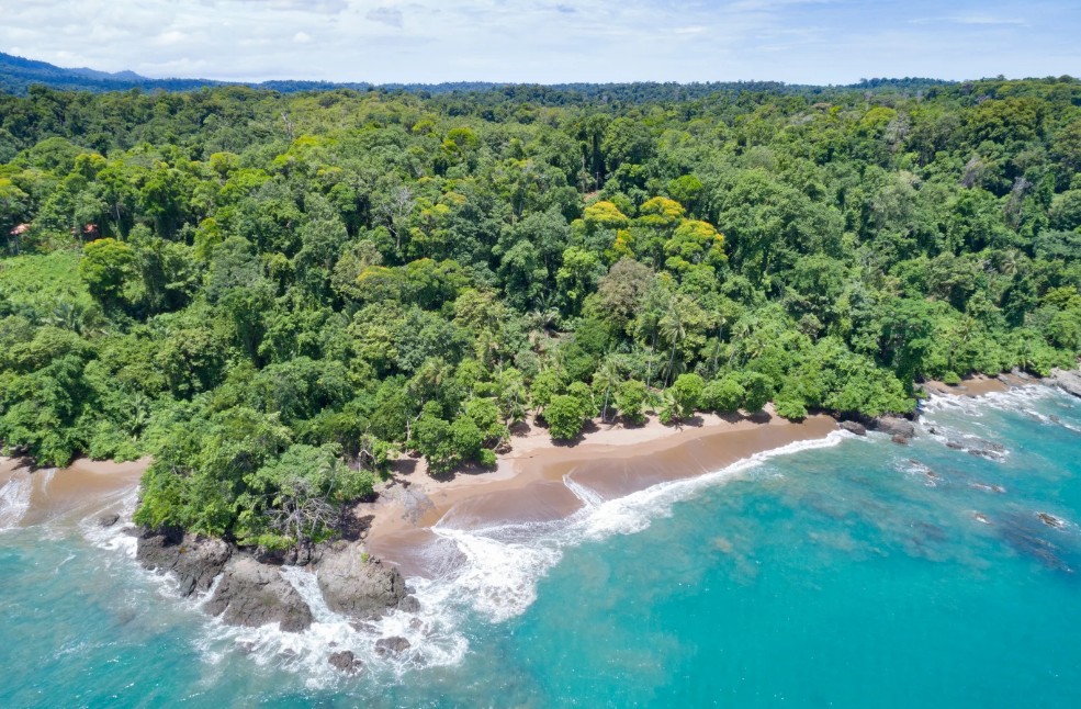 Corcovado National Park, Costa Rica