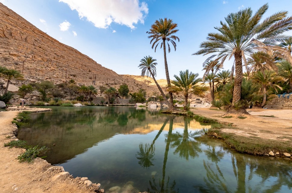 Desert Safari (Liwa or Al Khatim Desert), Abu Dhabi