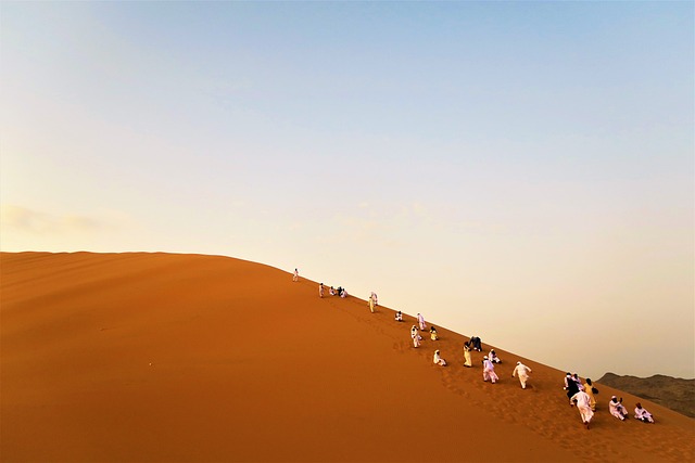 The Sahara Desert
