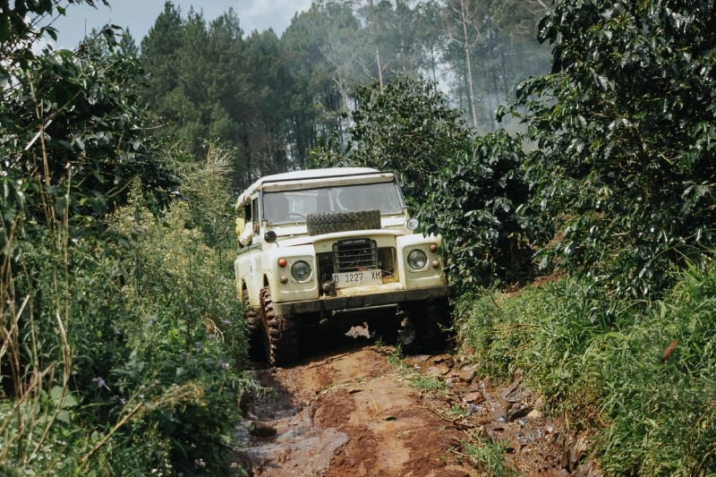 Offroad Land Rover Series III putih di jalur berlumpur berbatu di Pangalengan, dikelilingi oleh perkebunan hijau dan hutan pi