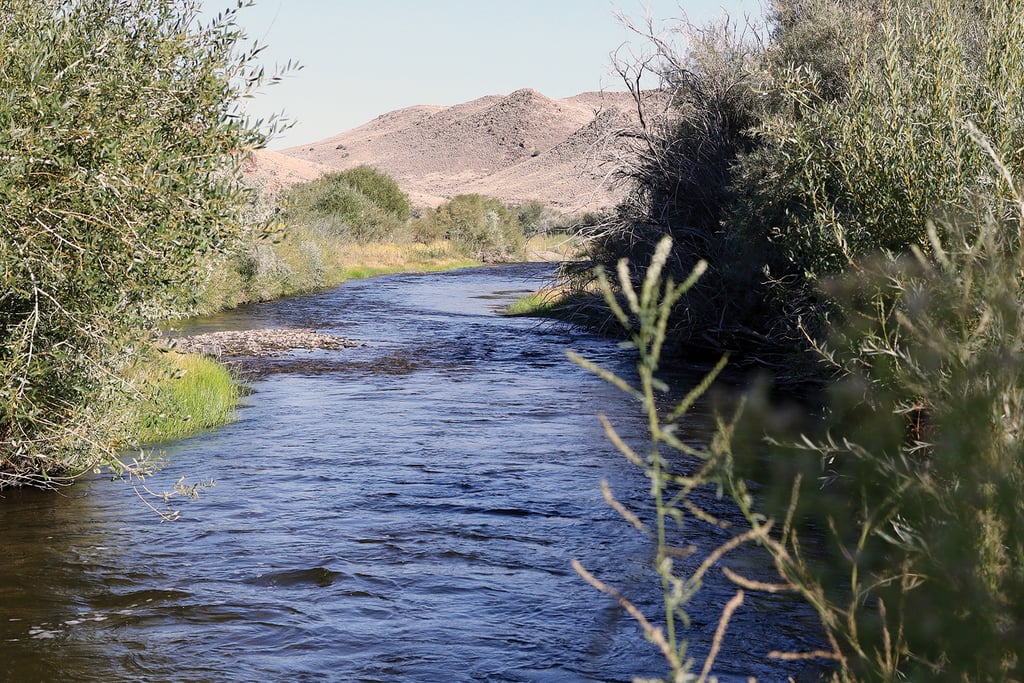 Photo of the Walker River located in Mason Valley, Nevada.