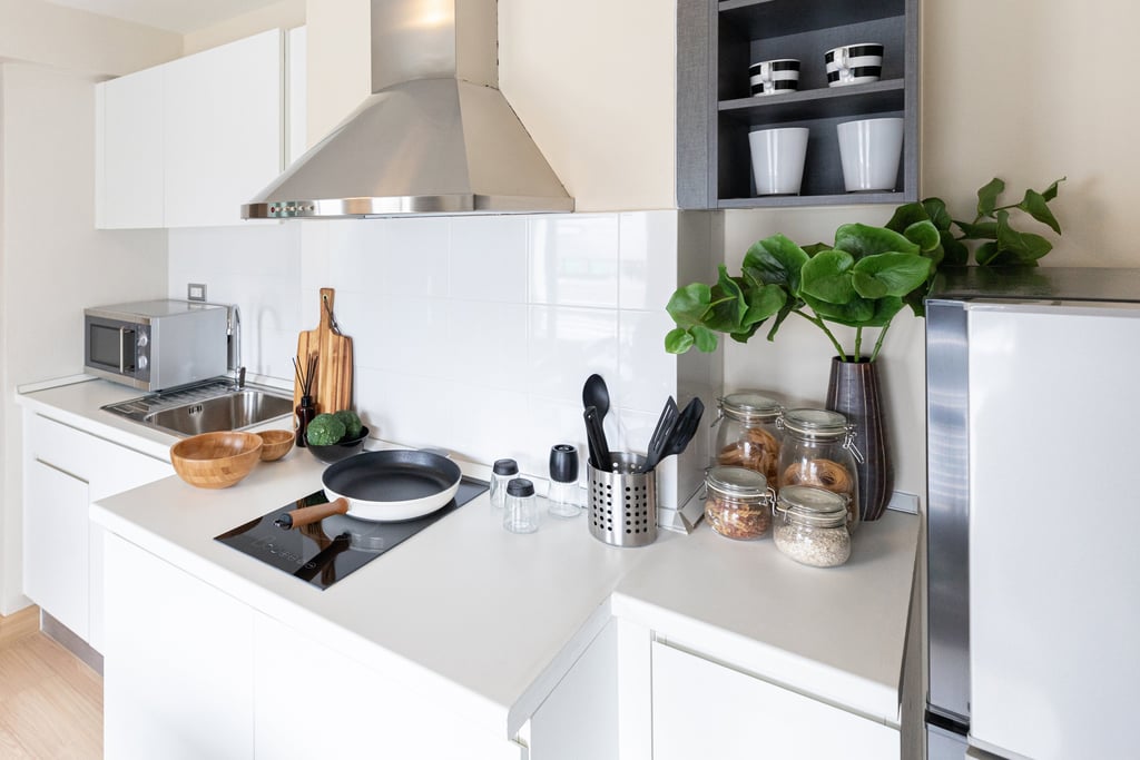 a kitchen with a stove top and a potted plant