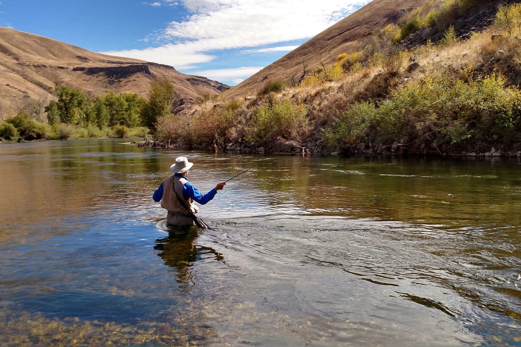 man fishing for trout or bass on a river