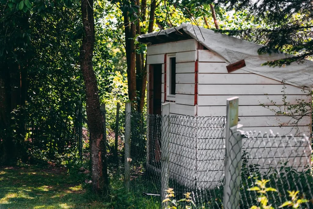 an old white shed surrounded by trees