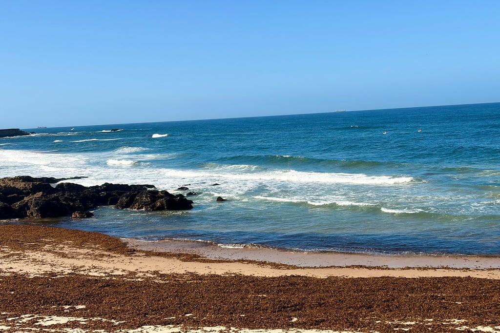 plage de Matosinhos