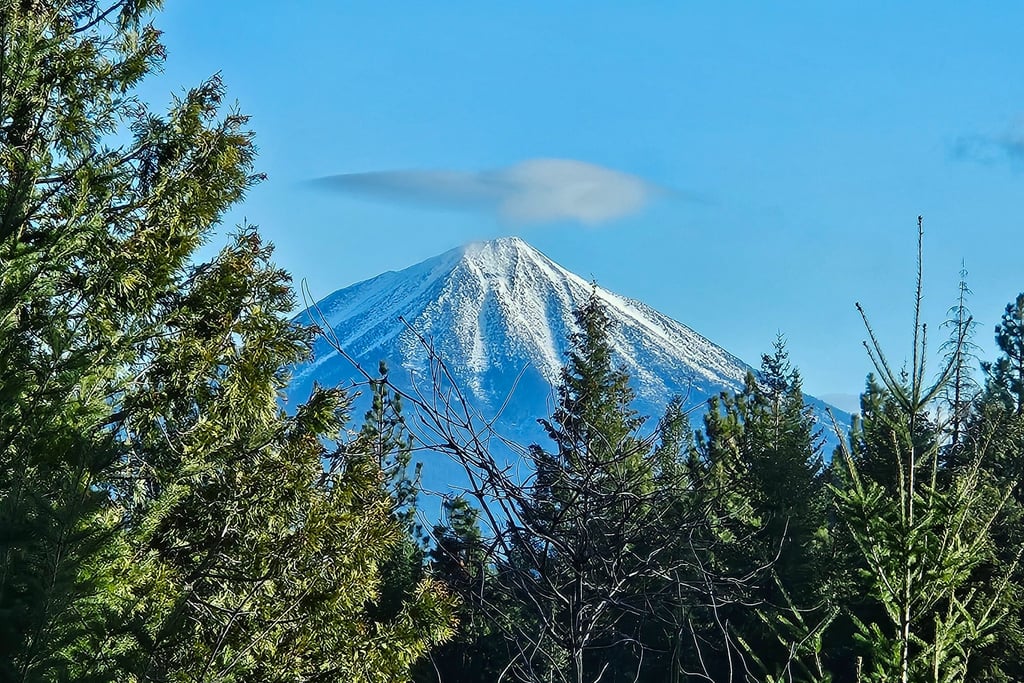Snow-capped mountain peak framed by evergreen pine trees under a clear blue sky with a lenticular cloud.