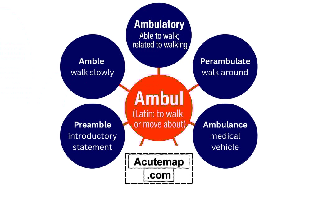 Root word Ambul, Vocabulary for SSC, UPSC