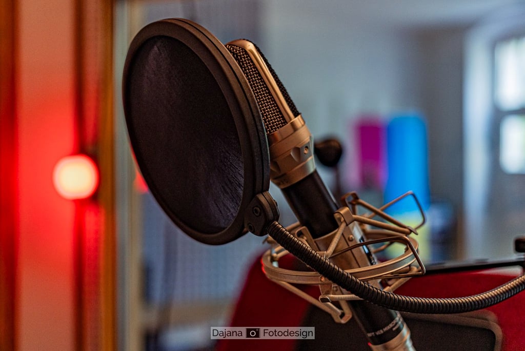 Mikrofon mit Popschutz - Detailaufnahme in der Aufnahmekabine vom Hörbuch Tonstudio Berlin