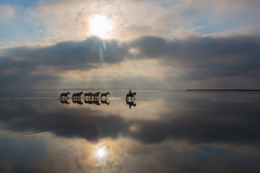 Silhouetted horses and a rider walking through reflective shallow water under a dramatic cloudy sunset.