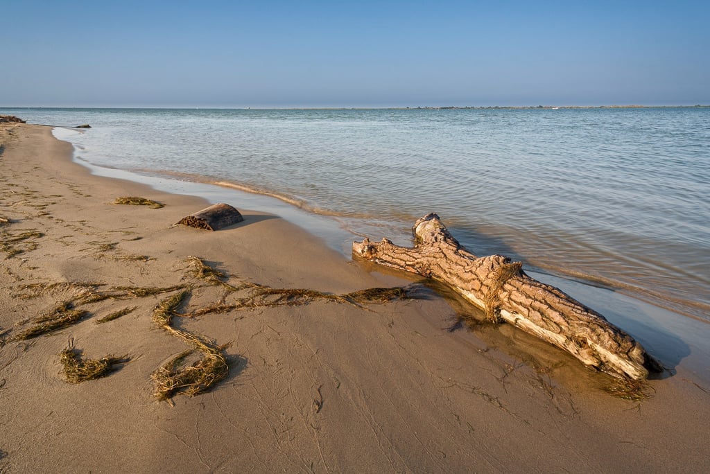 Driftwood log on a sandy beach shore with calm ocean waves and a clear blue sky.