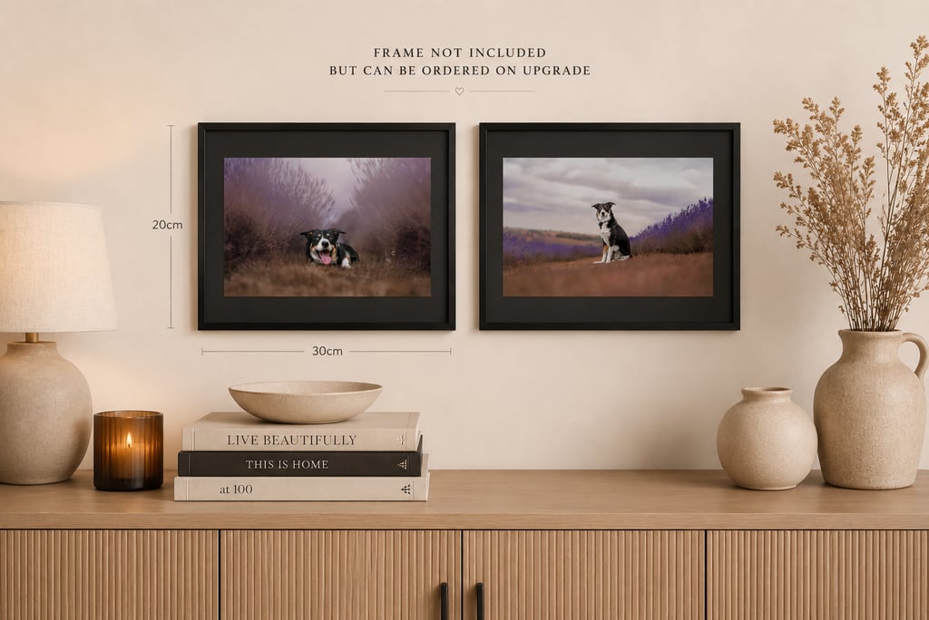 Wall art of a border collie in a lavender field