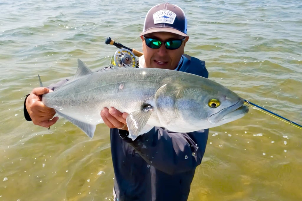 Bluefish on the fly