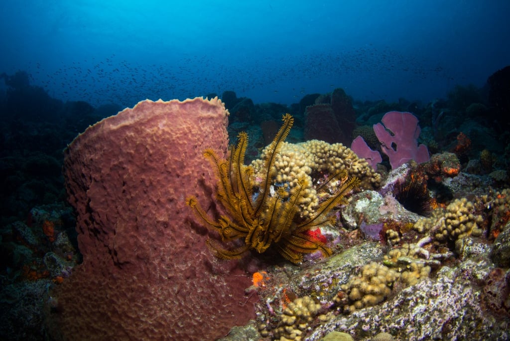 St Pierre - MARTINIQUE