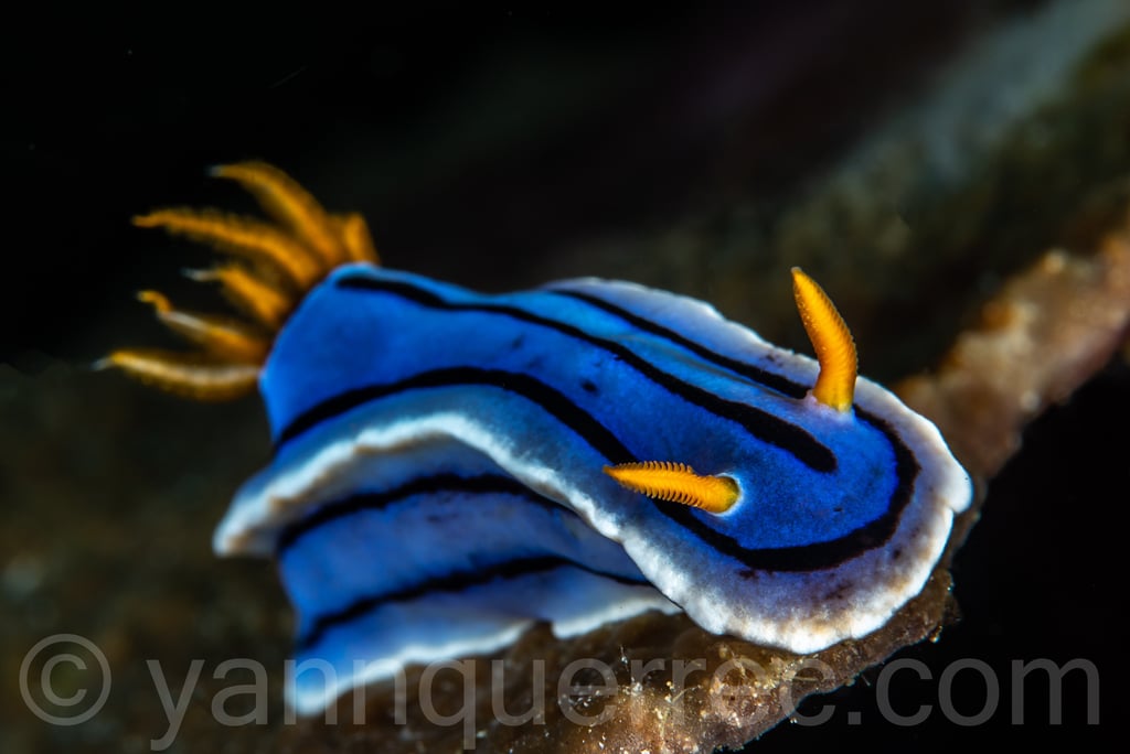 Puerto galera - PHILIPPINES