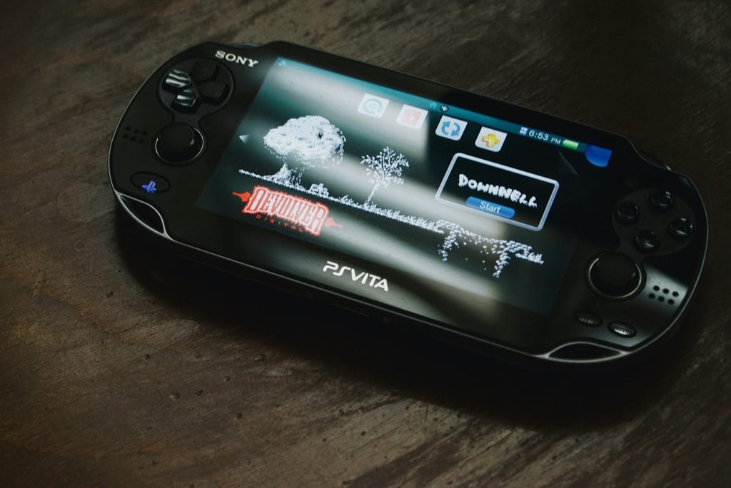 handheld electronics