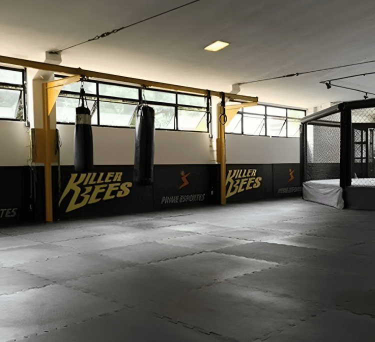 Tatame evA para arte marcial lutas MMA Jiu Jitsu