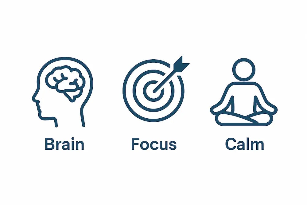 Illustration showing how Nervovive ingredients support brain and nerve function