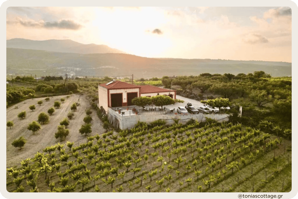 "Stilianou Winery view from above, overlooking vineyards at sunset.