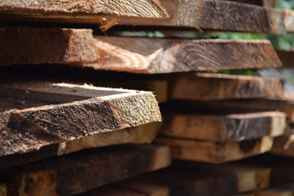 Cryptoméria local pour charpente ossature et menuiserie bois - artisan Charpente Cilaos, La Réunion 974