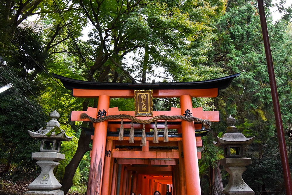 Porte torii vermillon dans la foret avec deux lanternes en pierre de part et d'autre
