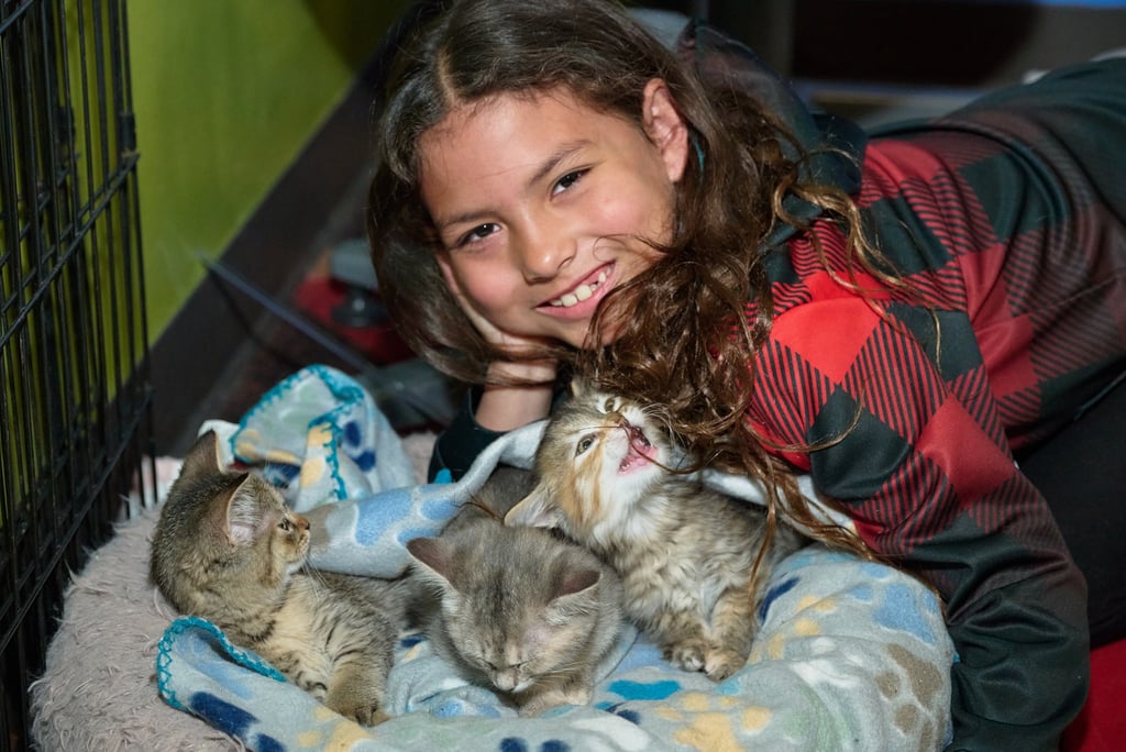 A smiling young girl lying down next to three small fluffy kittens resting on a soft blanket.