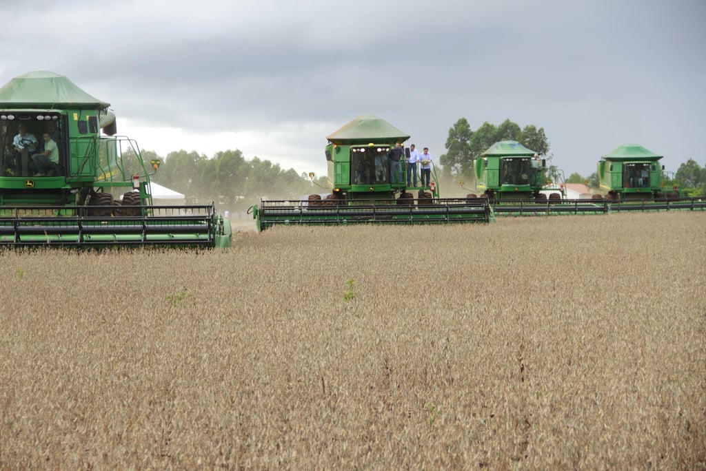 Máquinas agrícolas realizando a colheita da soja