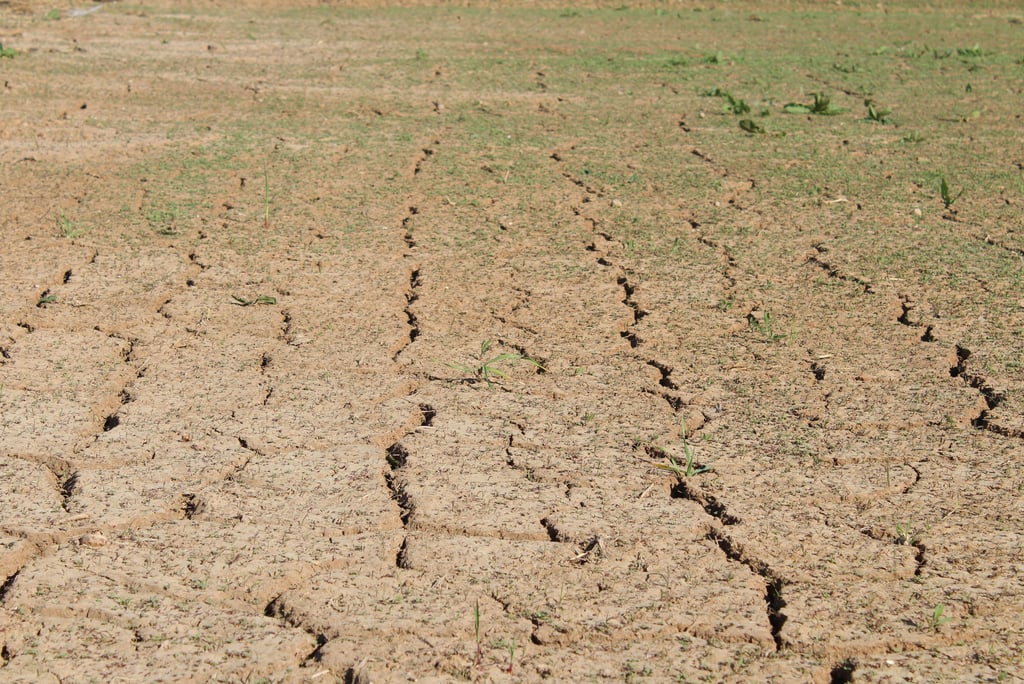 Terra seca representando o impacto das mudanças climáticas na produção agrícola