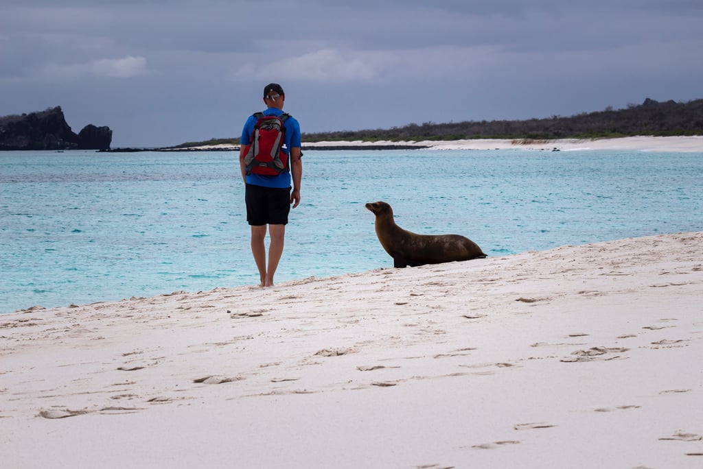 solo traveler galapagos adventure immersive nature exploration