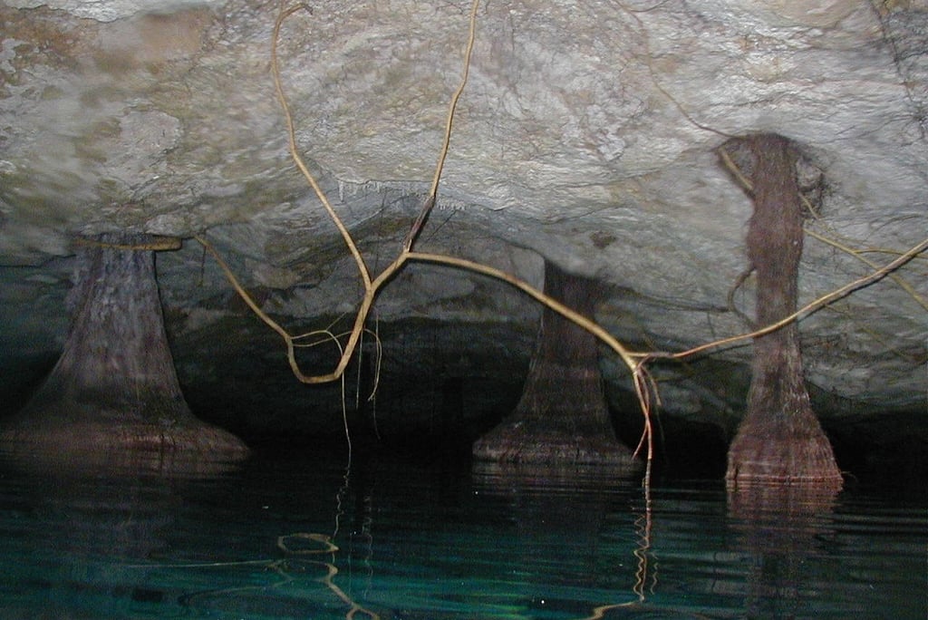 mexico chac mool diving cenote roots