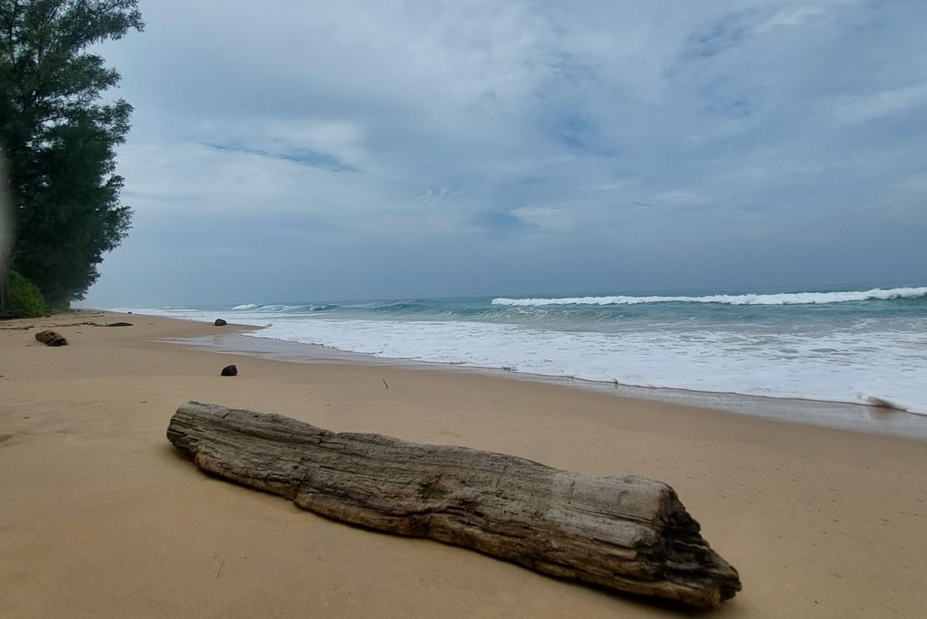 Thai Mueang Beach Phang Nga