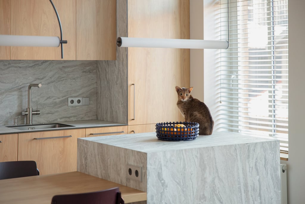 Virtuvės projektas Užupyje