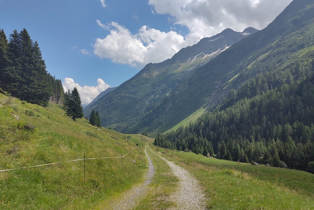 The old Susten Pass Road making its way down valley