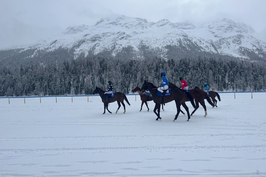 Horses lining up to race on frozen Lake St. Moritz at the White Turf Horse Races in in Switzerland