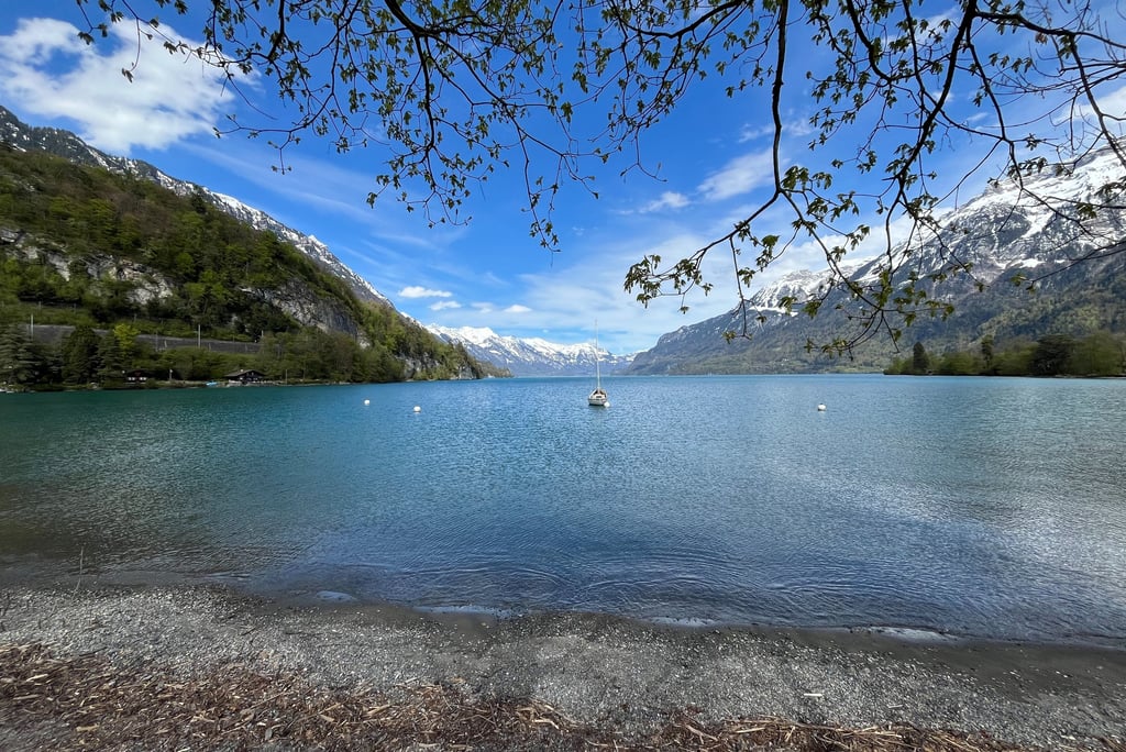 View looking up Lake Brienz from just outside Bönigen