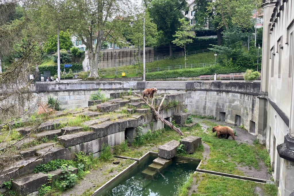 Looking into the bear pit in Bern