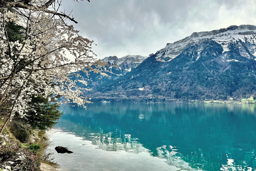 The turqoise blue water of Lake Brienz Switzerland reflecting the mountains above