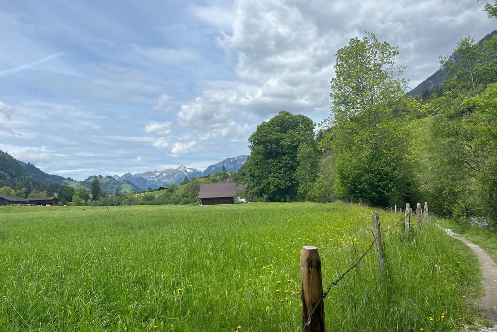 Views along the path from Ringoldingen to Erlenbach im Simmental