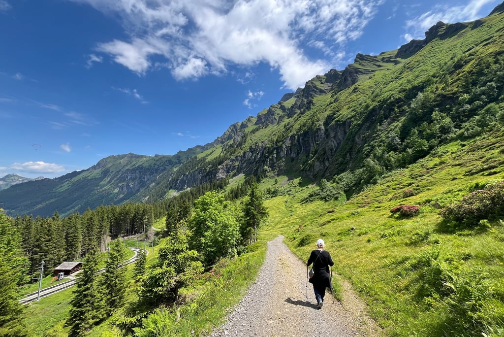 Heading down to Wengen on the path from Wengneralp