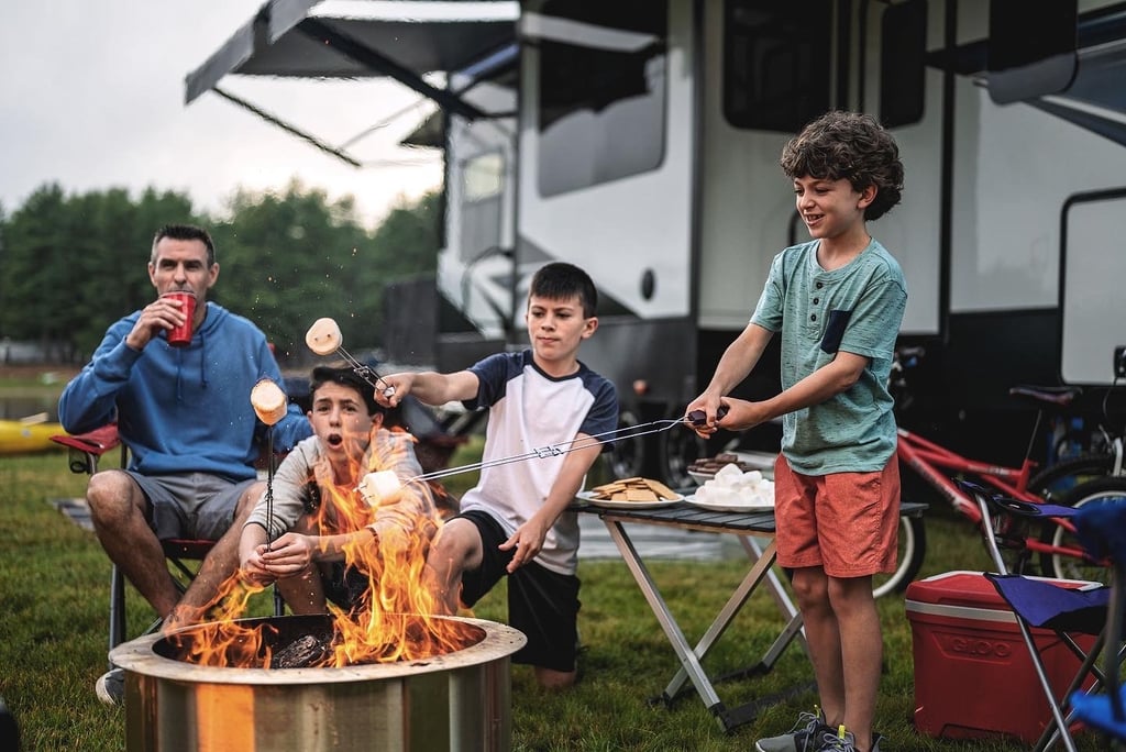 a group of people sitting around a fire pit roasting marshmellows