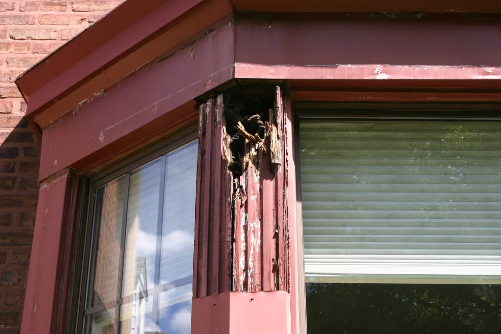 Under the aluminum I discovered rotted fluted wood trim. 