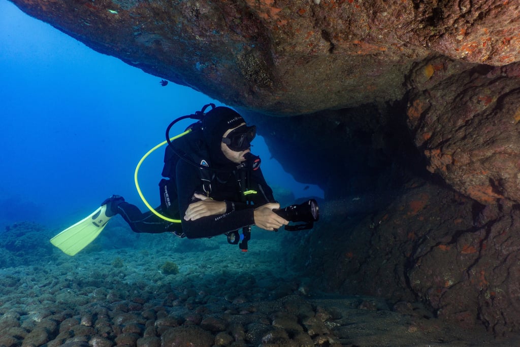 Diver at the house-reef of Madeira Divepoint