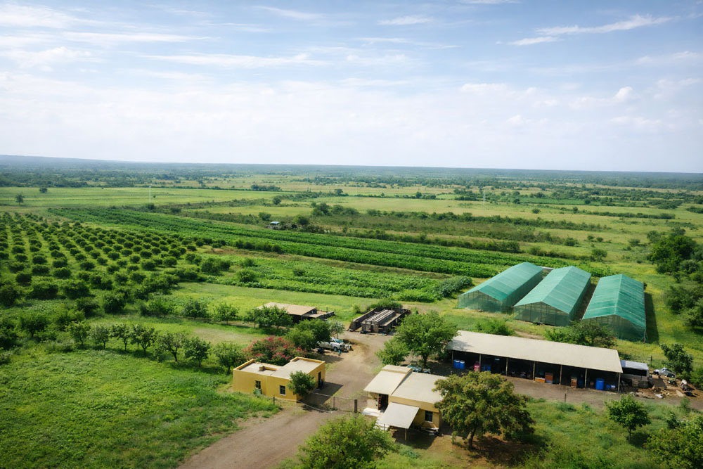 Aerial view of a sustainable organic farm with green greenhouses, fruit orchards, and farm buildings.