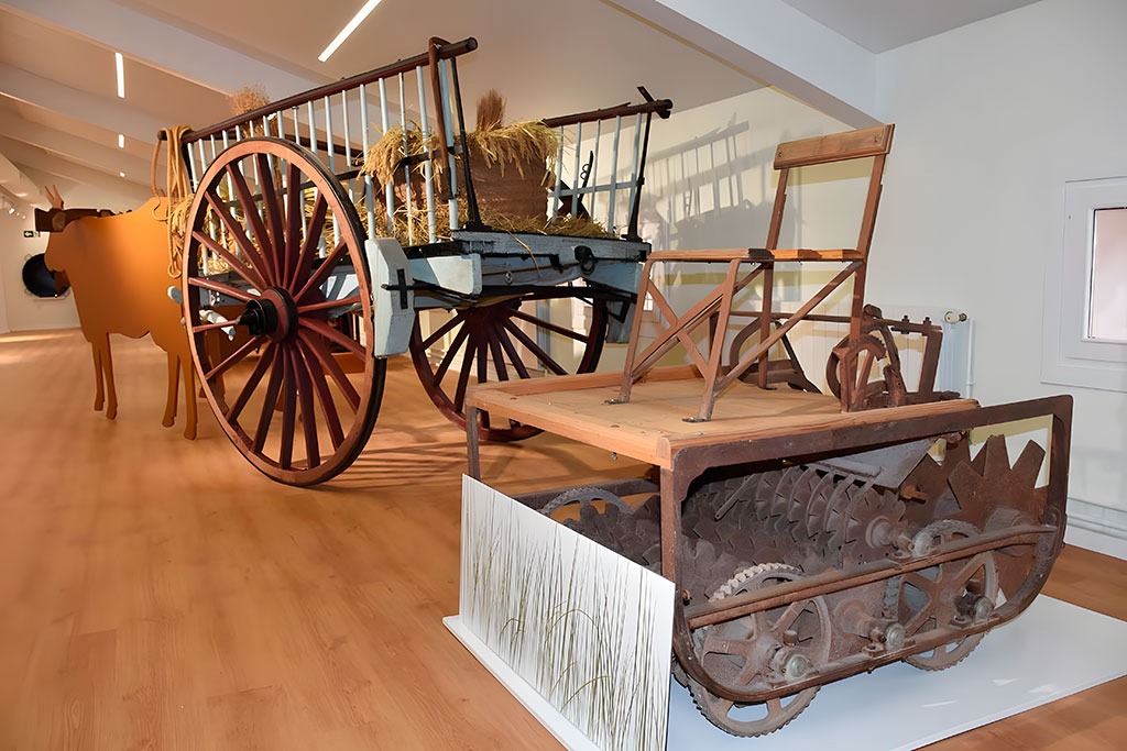 One of the rooms of the Museo del Arroz (Calasparra)