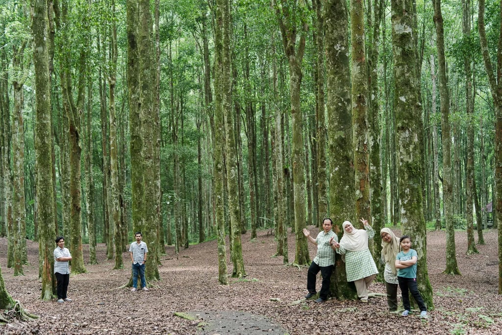 Iqbal family enjoying a natural family photography session in the pine forest of Kebun Raya Bedugul.