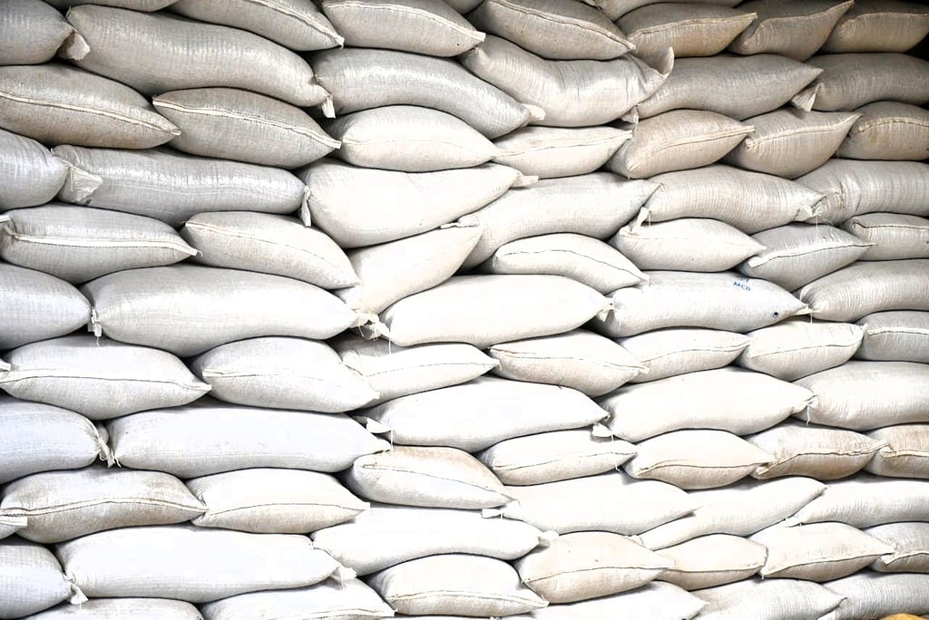 Gypsum Powder Bags