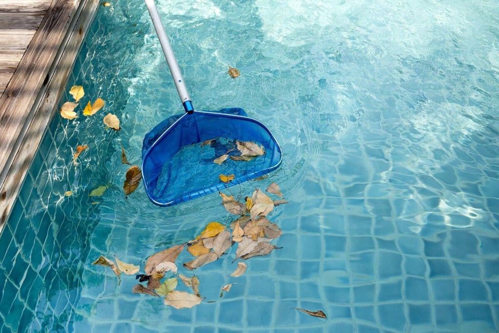 coup epuissette piscine