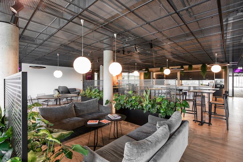 akustines grindys ofise