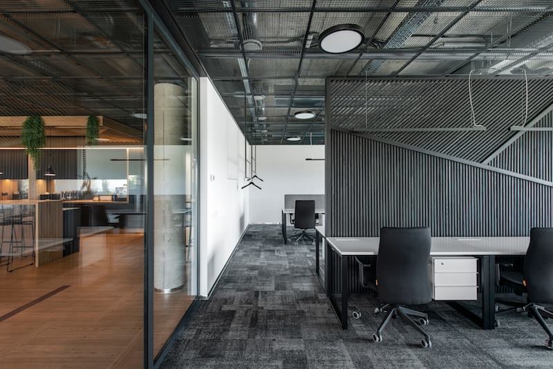 vinilo ir kilimo derinimas