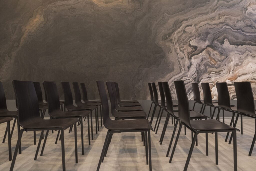 skaimenine spauda ant sienu