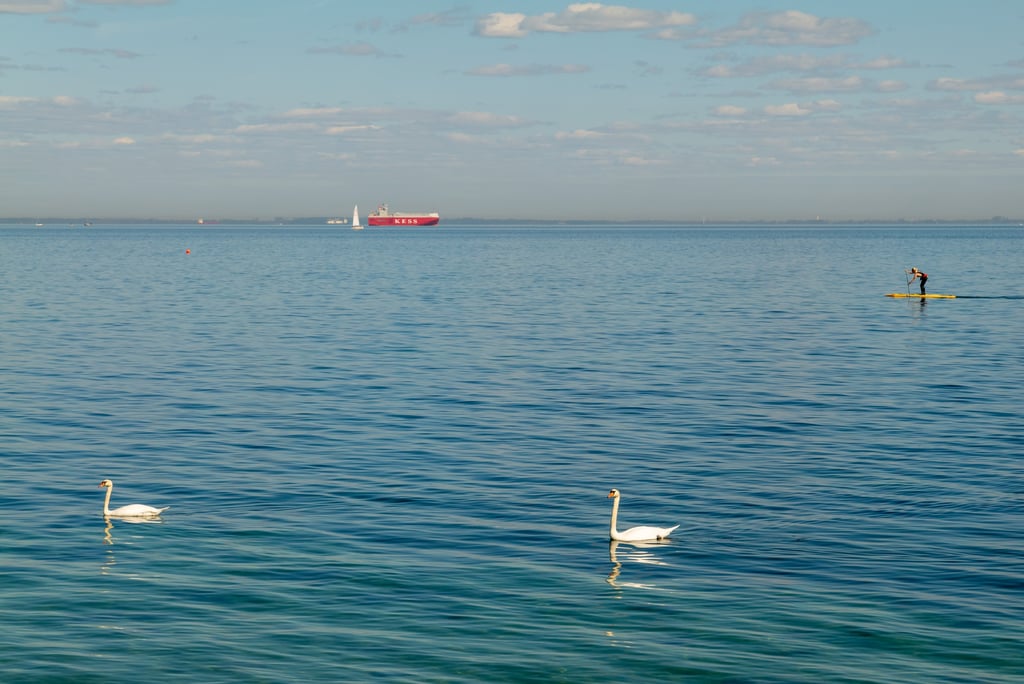 Horizon scanning and analysis: spot tomorrow’s challenges today.